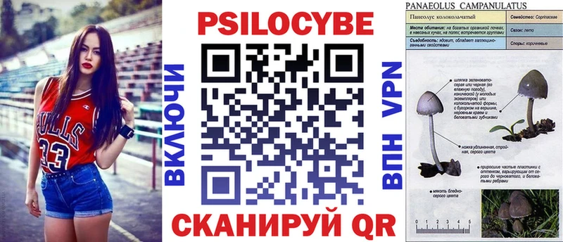 darknet состав  Полысаево  Галлюциногенные грибы прущие грибы 